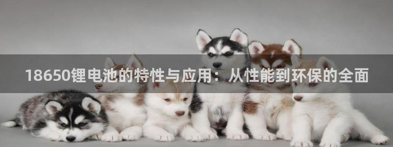 tp钱包怎么转bnb
