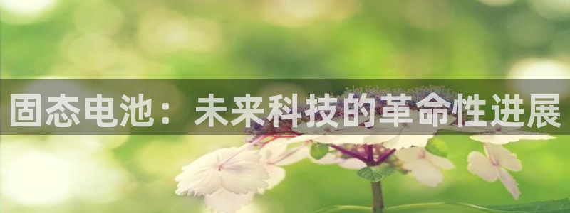 tp钱包官方下载2024最新版本