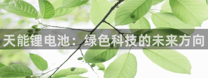 tp钱包app下载