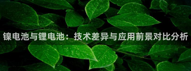 tp钱包转出bnb