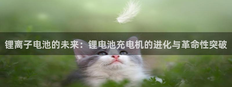 TP钱包突然多了个BOOM怎么修复