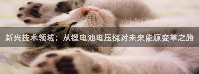 tp钱包支持usdt吗