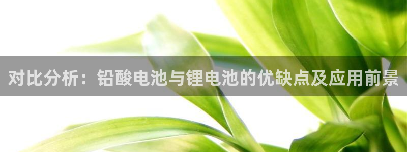 TP钱包买矿工费