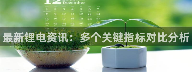 tp钱包怎么查看资产