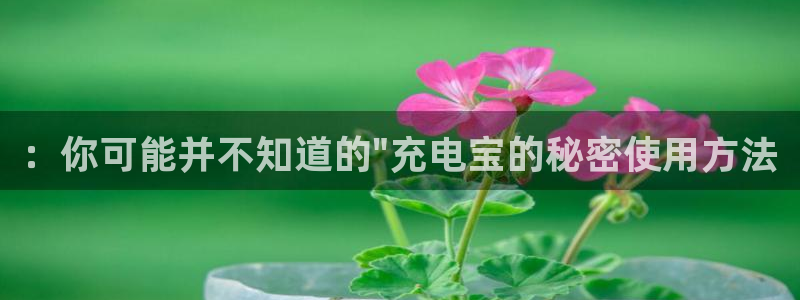 tp钱包下载安装包