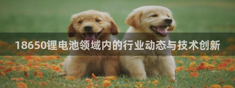 tp钱包官网地址