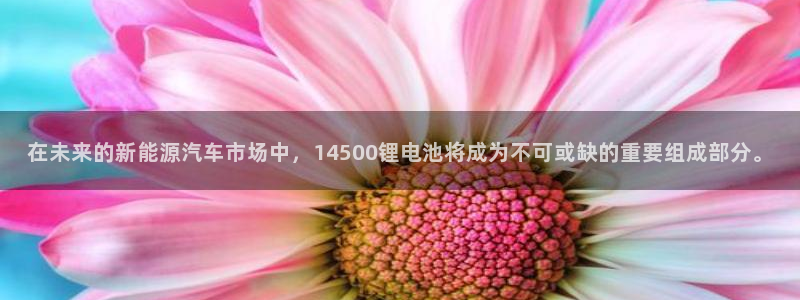 tp钱包如何创建usdt