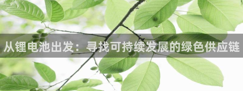 TP钱包dapp黑屏怎么办